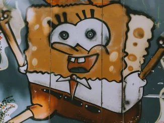 Are sponges bad for the environment? Not Bob, he is fine